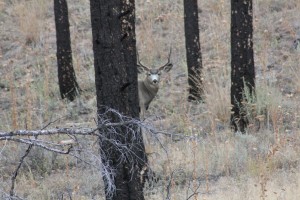 IMG_2343